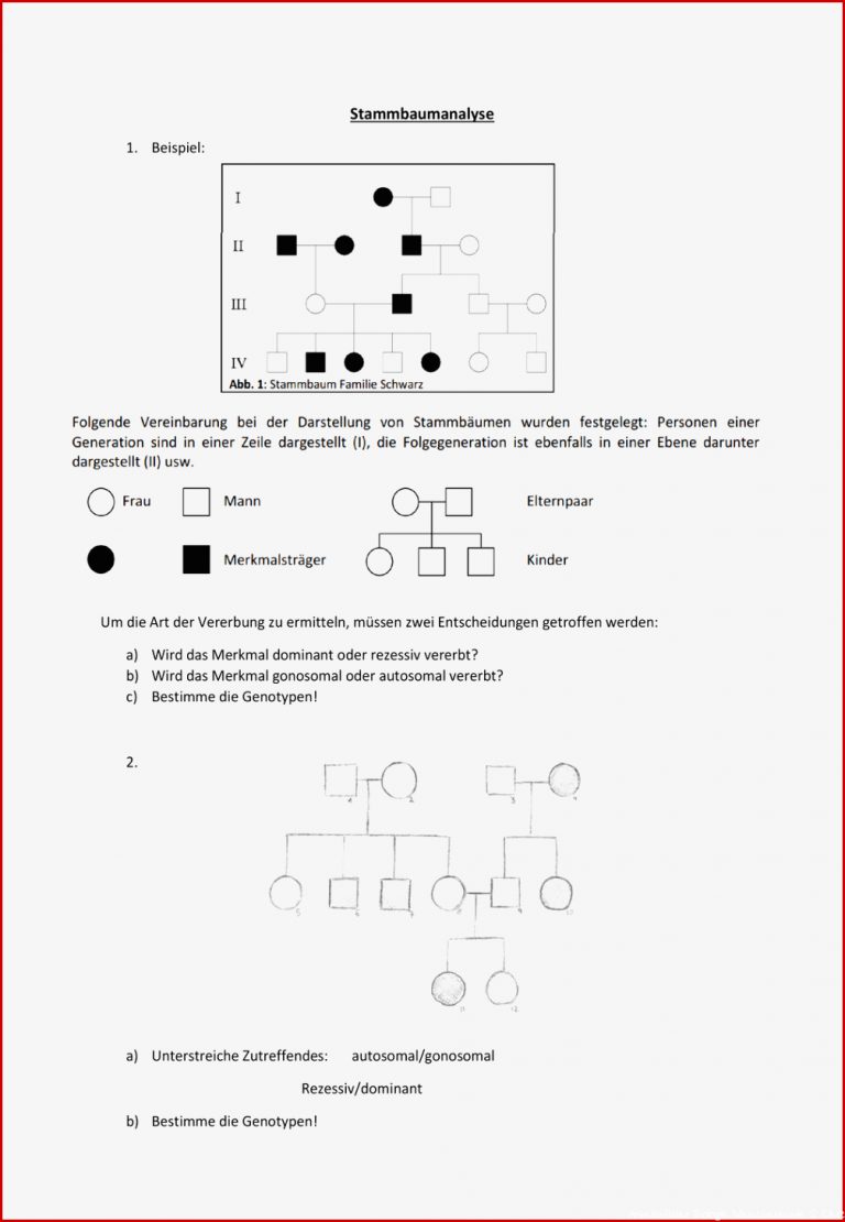 Enzyme Arbeitsblatt Klett Stephen Scheidt Schule