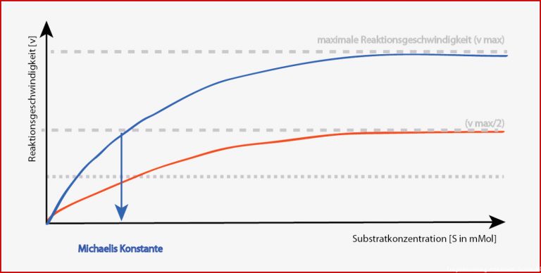 Enzymhemmung - Abitur-vorbereitung - Online-kurse