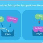 Enzymhemmung â¢ Einfach ErklÃ¤rt: Einteilung Und Definition Â· [mit ...