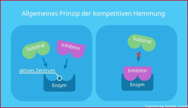 Enzymhemmung â¢ einfach erklärt: Einteilung und Definition Â· [mit ...