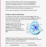 Erben Und Vererben – Funktion Der Dna