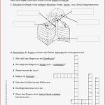 Erdkunde 8 Klasse Gymnasium Arbeitsblätter Worksheets