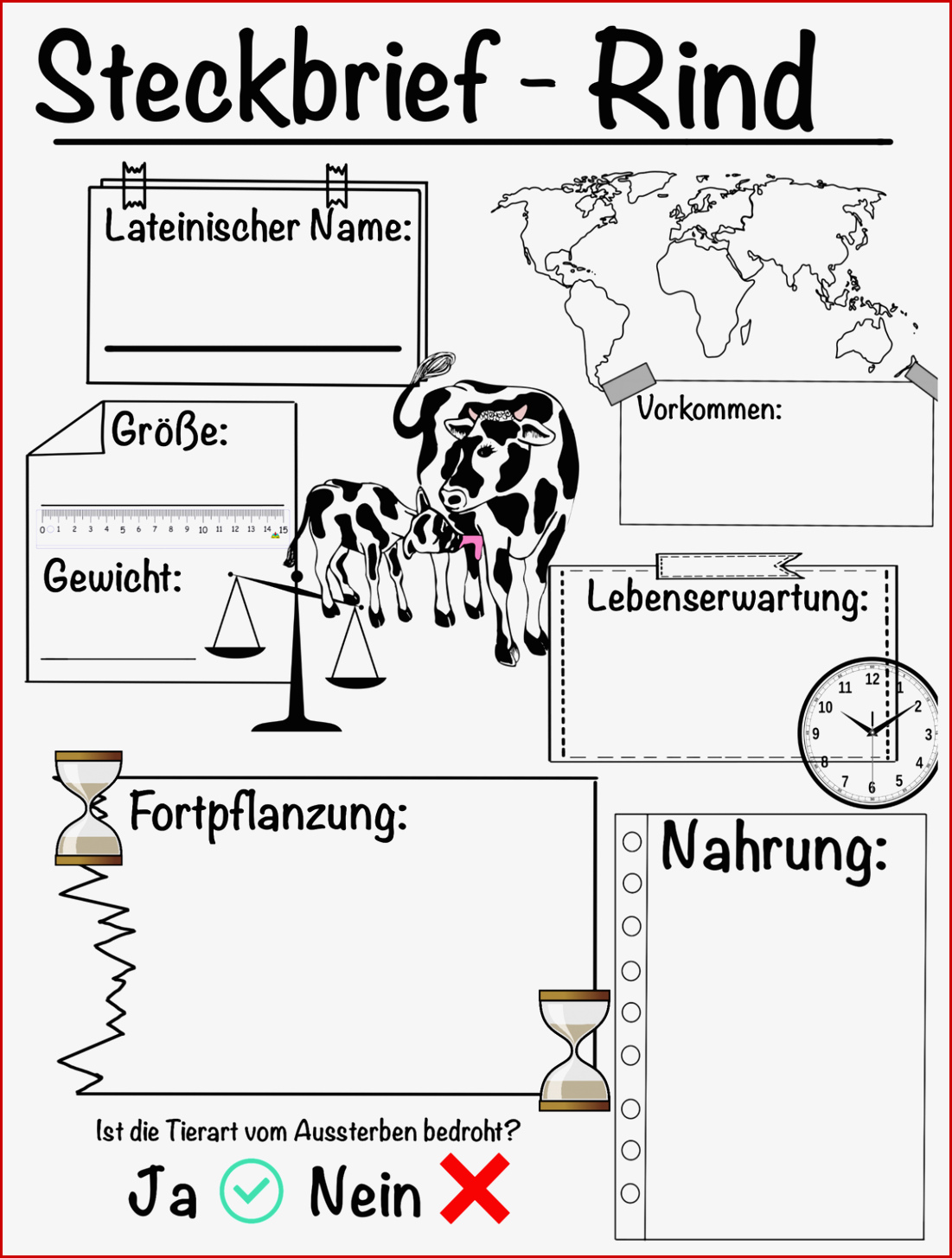 Erdzeitalter Arbeitsblatt Biologie Casey Dann Grundschule