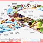 Erdzeitalter Übersicht Zunächst Kommen Zwei Grafiken