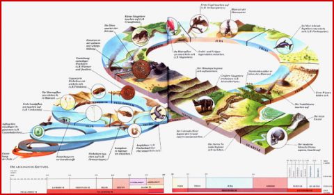 Erdzeitalter Übersicht Zunächst Kommen Zwei Grafiken