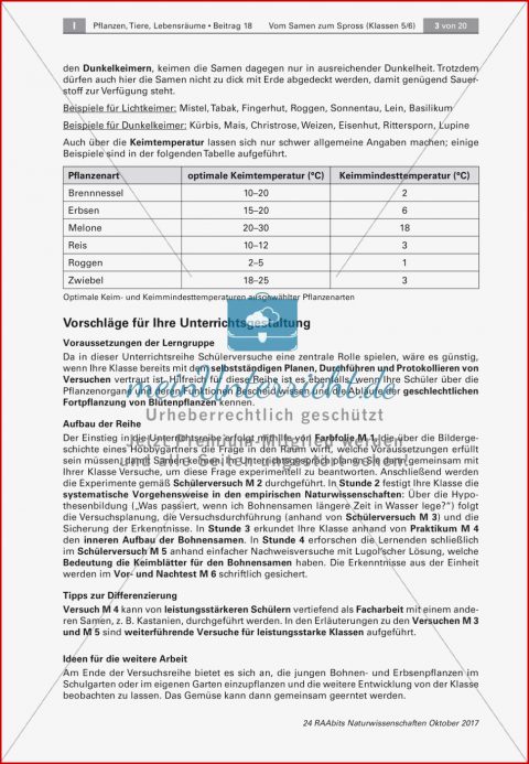 Erforschen Der Wachstumsbedingungen Von Pflanzen