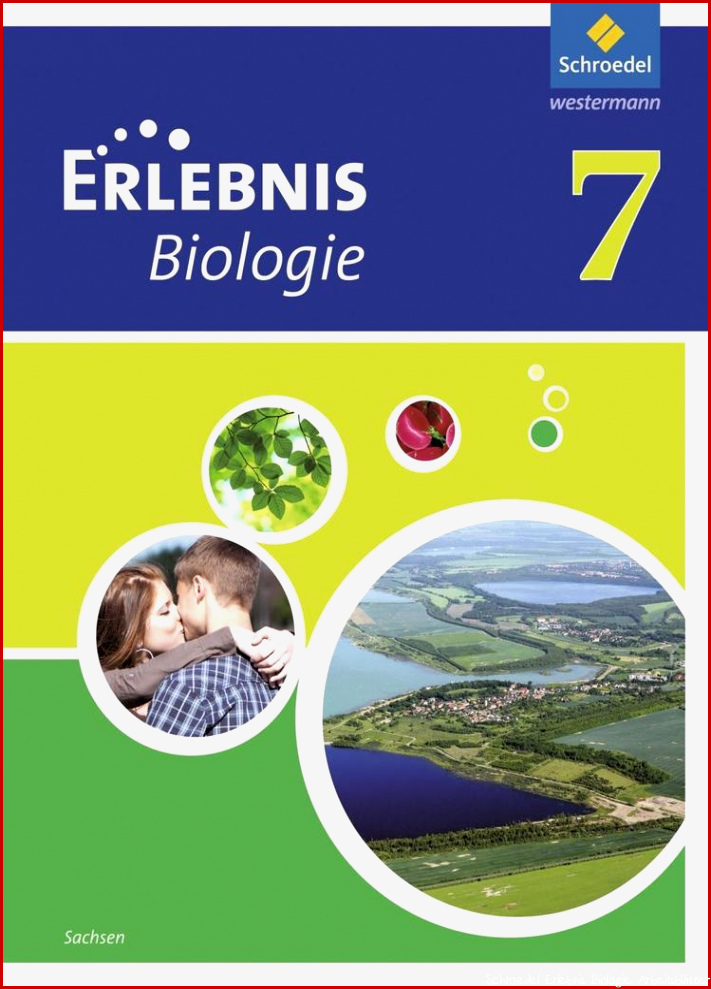 Erlebnis Biologie 7 Schülerband Sachsen Buch gebunden