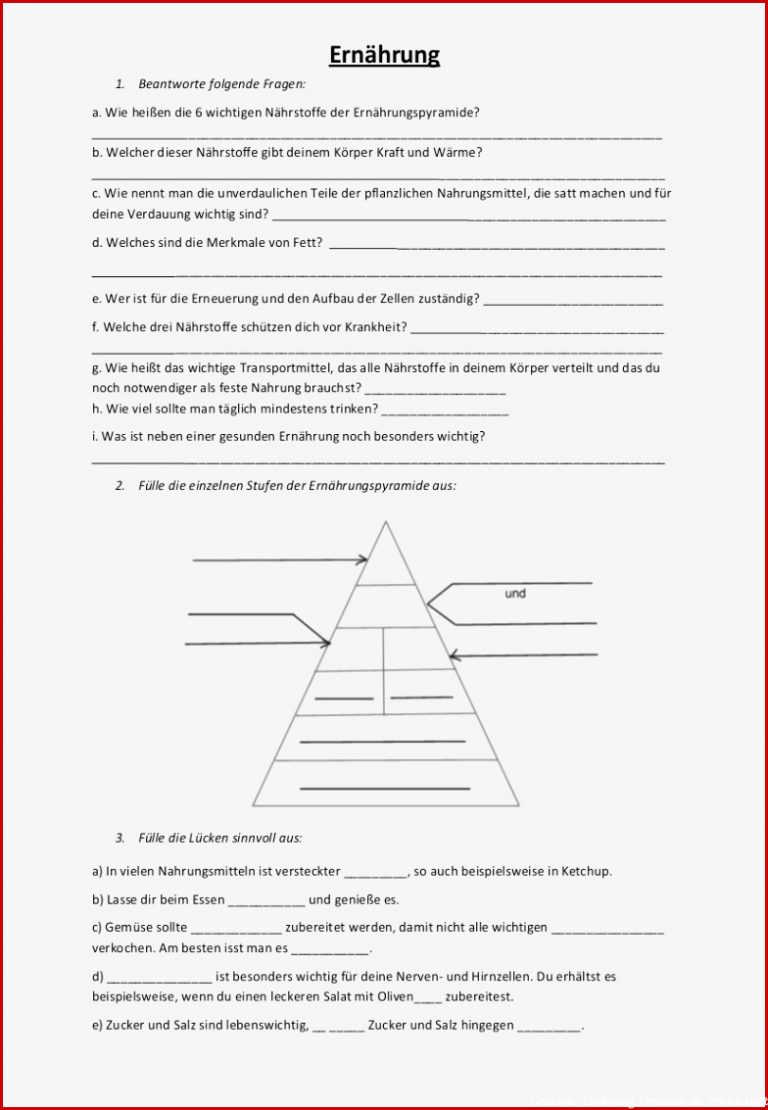 Ernährung Grundschule