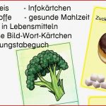 Ernährungspyramide Für Kinder Arbeitsblatt Carl Winslow