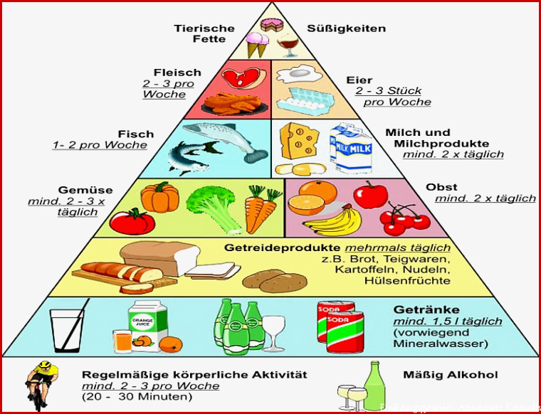 Ernährungspyramide Grundschule Arbeitsblatt Neu Arztpraxis