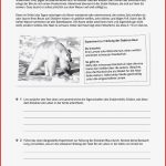 Ernst Klett Verlag Arbeitsblätter Biologie Lösungen Klasse