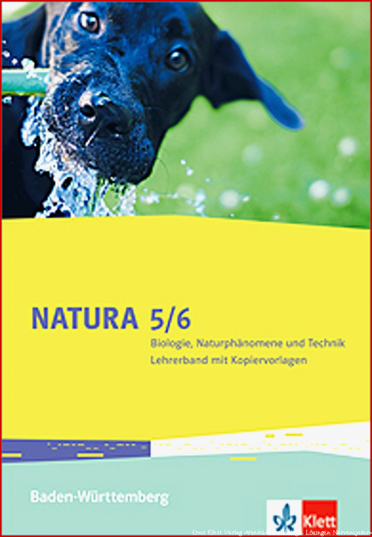 Ernst Klett Verlag Arbeitsblätter Biologie Lösungen Klasse
