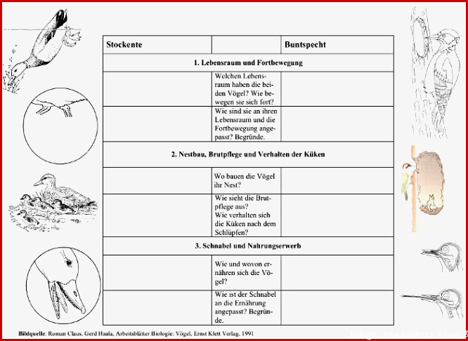 Ernst Klett Verlag Arbeitsblätter Biologie Lösungen Klasse