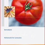 Ernst Klett Verlag Lambacher Schweizer Mathematik 6