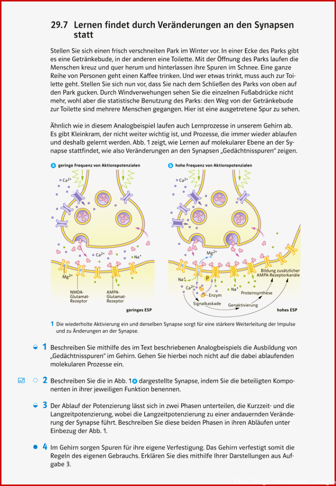 Ernst Klett Verlag Markl Biologie Bundesausgabe ab 2018