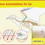 Ernst Klett Verlag Natura Biologie Ausgabe Bayern