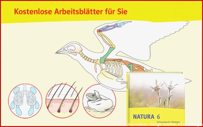 Ernst Klett Verlag Natura Biologie Ausgabe Bayern