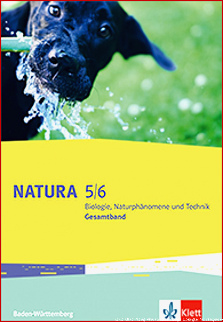 Ernst Klett Verlag Natura Biologie Naturphänomene und