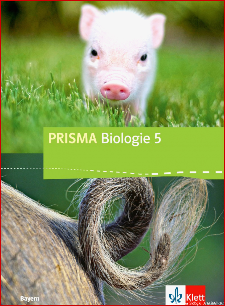 Ernst Klett Verlag PRISMA Biologie 5 Ausgabe Bayern ab