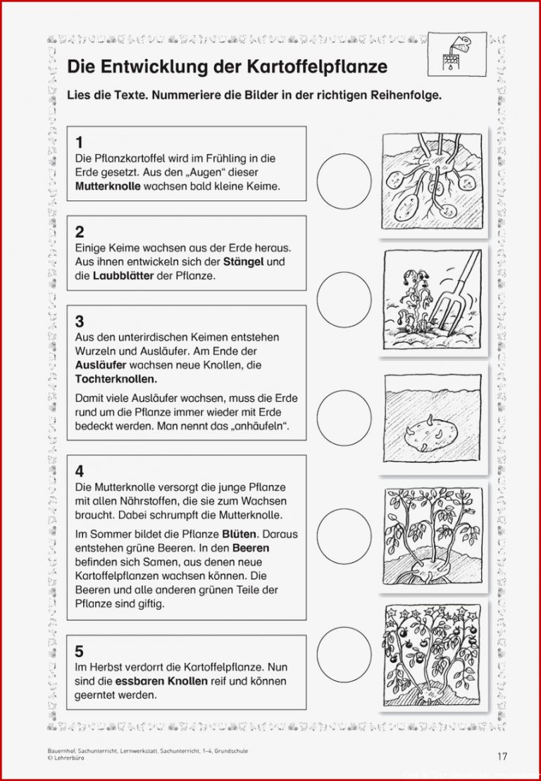 Ethik 5 Klasse Arbeitsblätter Worksheets