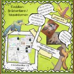 Evolution: BrÃ¼ckentier Archaeopteryx