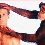 Evolution Warum Wir Sprechen Schimpansen Aber Nicht Welt