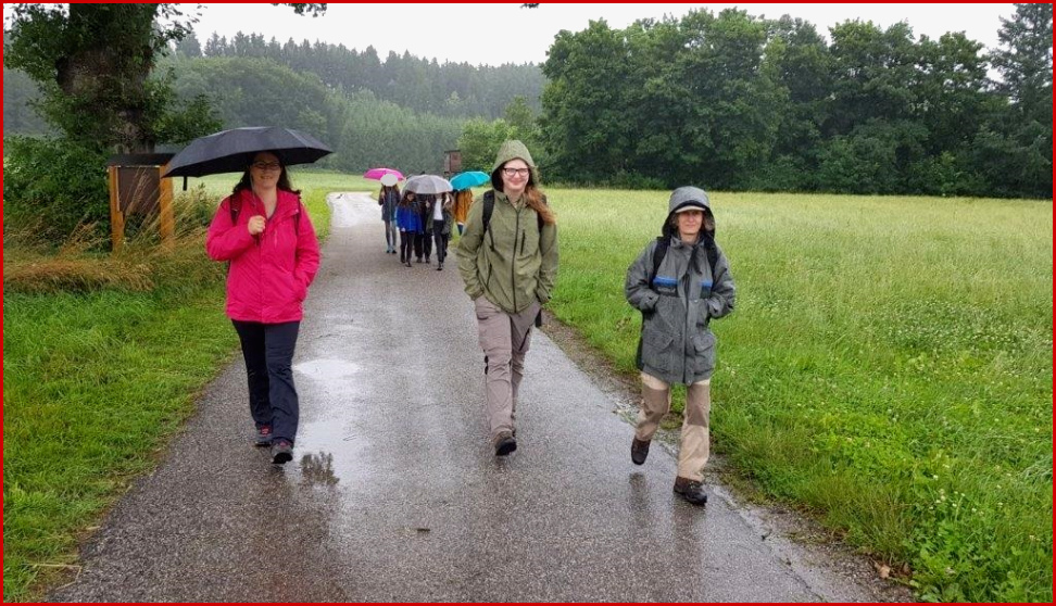Exkursion Der Klasse 5c In Den Rothschwaiger Wald