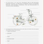 Fahrradprüfung Verkehrszeichen Grundschule Zum Ausdrucken