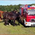 Feuer Experimente Grundschule Ff Bonn Rheindorf
