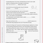 Feuer Grundschule Arbeitsblätter Worksheets