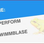 Fische KÖrperform Und Schwimmblase Biologie