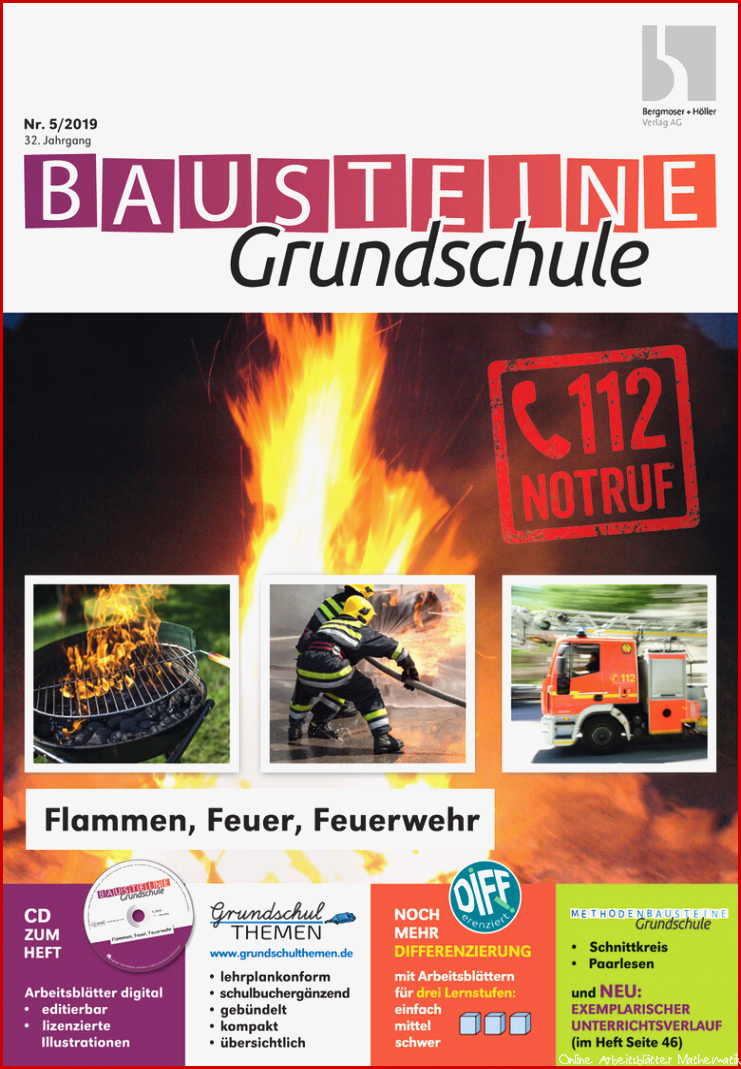 Flammen Feuer Feuerwehr