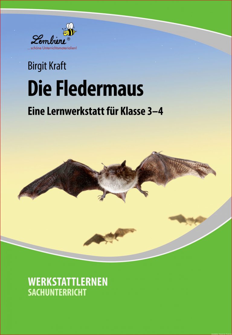 Fledermäuse werden oft gefürchtet – und das zu Unrecht