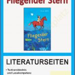 Fliegender Stern Literaturseiten – Unterrichtsmaterial