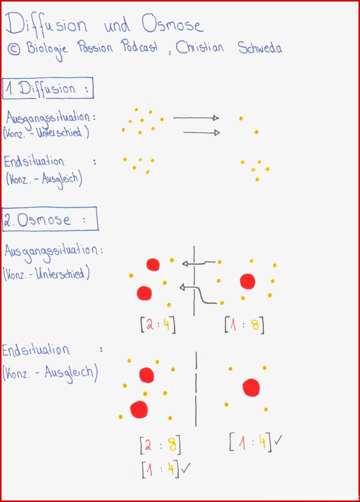 Folge 011 Brownsche Molekularbewegung Diffusion und Osmose