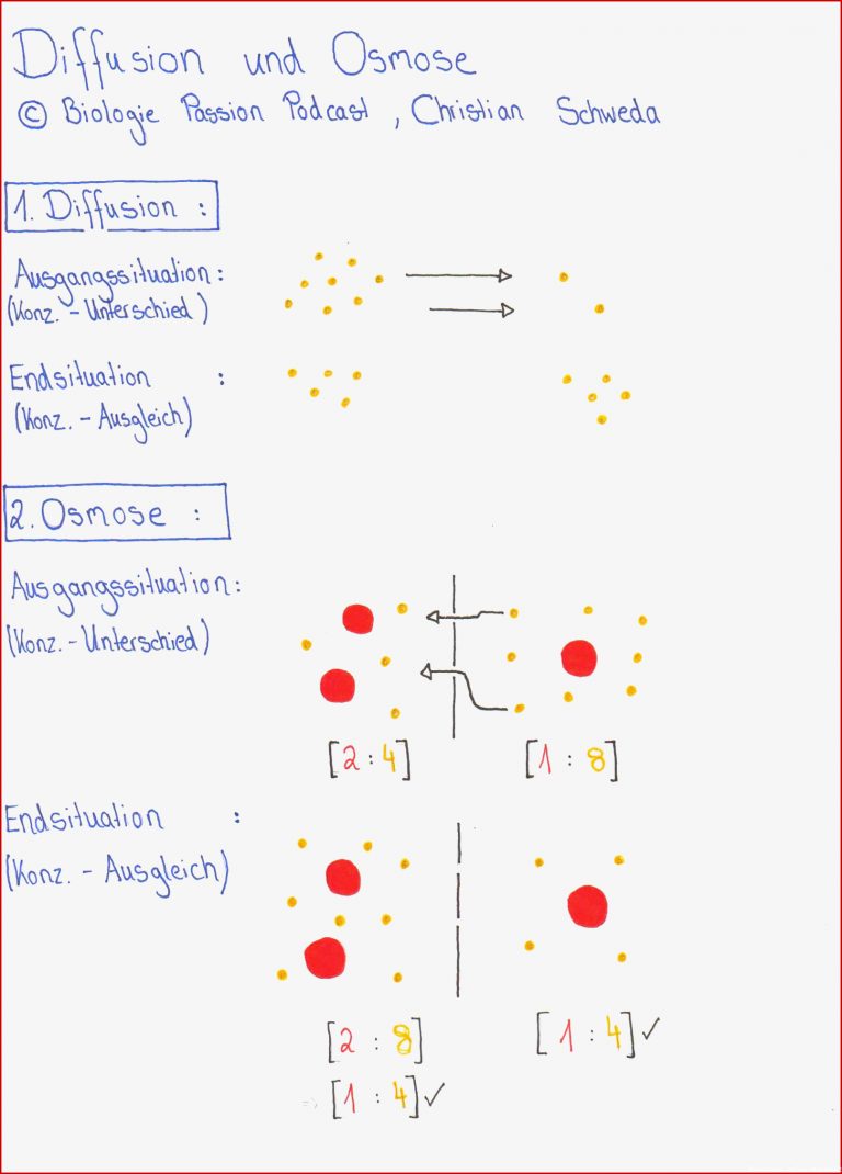 Folge 011 Brownsche Molekularbewegung Diffusion und Osmose