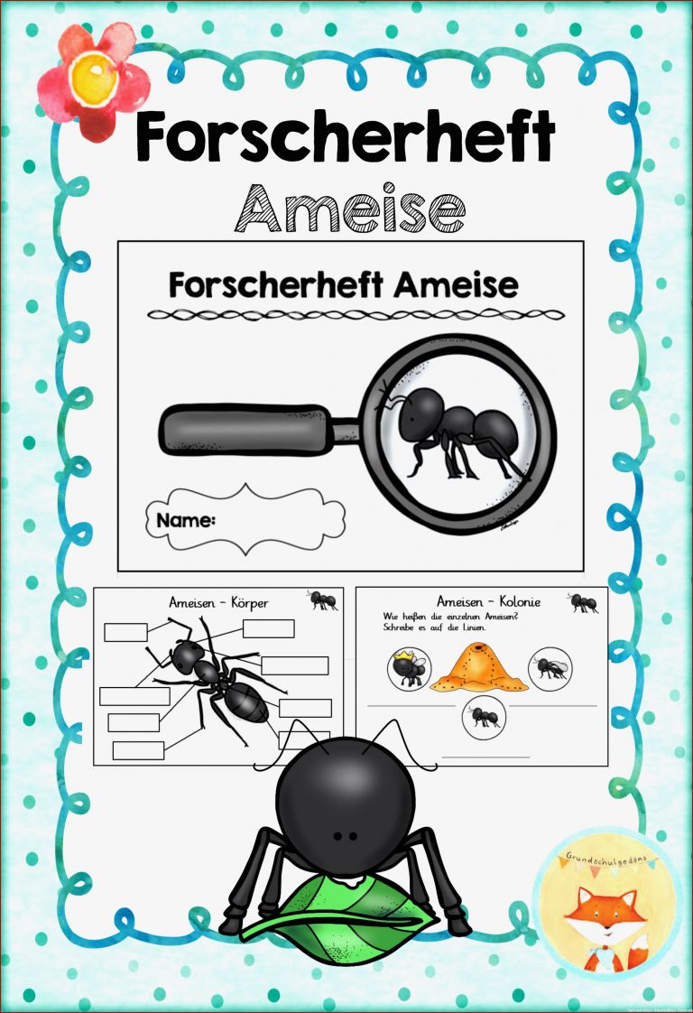 Forscherheft Ameise – Unterrichtsmaterial im Fach