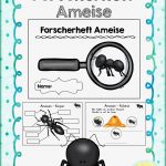Forscherheft Ameise – Unterrichtsmaterial Im Fach