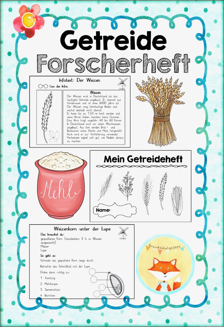 Forscherheft Getreide – Unterrichtsmaterial im Fach