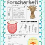 Forscherheft Getreide – Unterrichtsmaterial Im Fach