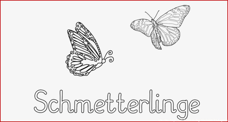 Forscherheft Schmetterlinge pdf