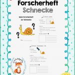 Forscherheft Schnecke – Unterrichtsmaterial Im Fach