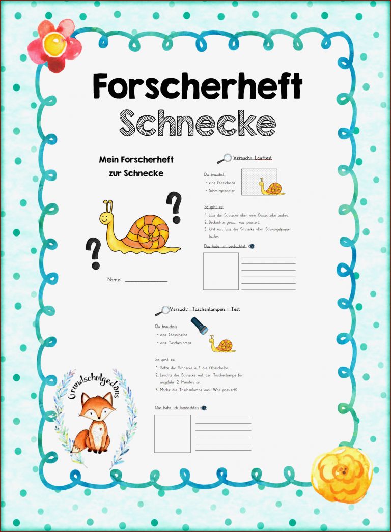 Forscherheft Schnecke – Unterrichtsmaterial im Fach