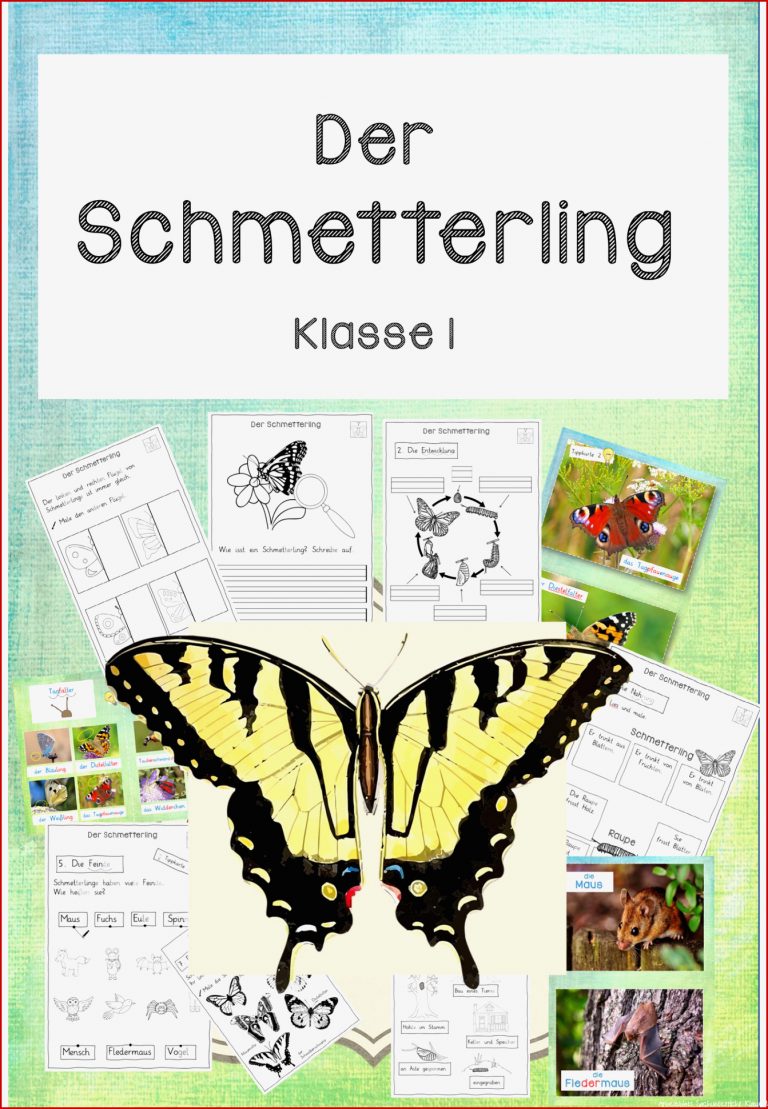 Forscherheft Stationen zum Schmetterling Klasse 1