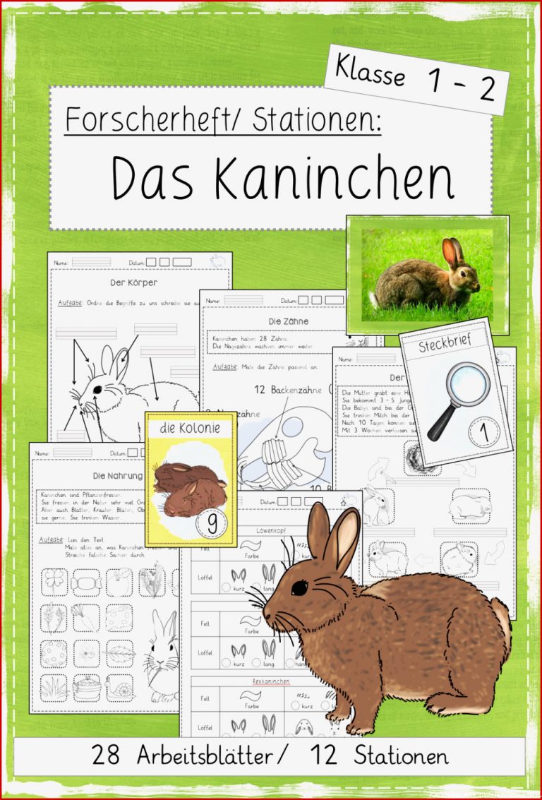 Forscherheft Stationenlernen Das Kaninchen Klasse 1 2