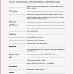 Fotosynthese Arbeitsblatt Anika Brinn Grundschule