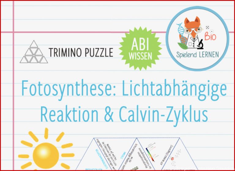 Fotosynthese Arbeitsblatt Klasse 7 Anika Brinn Grundschule