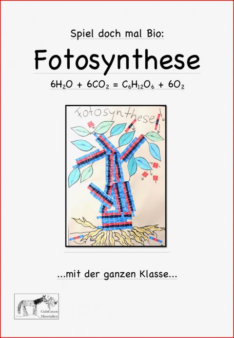 Fotosynthese Arbeitsblatt Klasse 7 Neue Arbeitsblätter