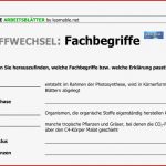 Fotosynthese Arbeitsblatt Michelle Woveless Grundschule