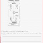 Fotosynthese Arbeitsblatt Stephen Scheidt Schule